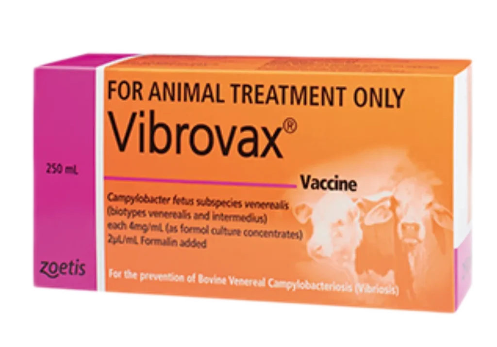 Set up for success vibrovax vaccine Set up for success vibrovax vaccine